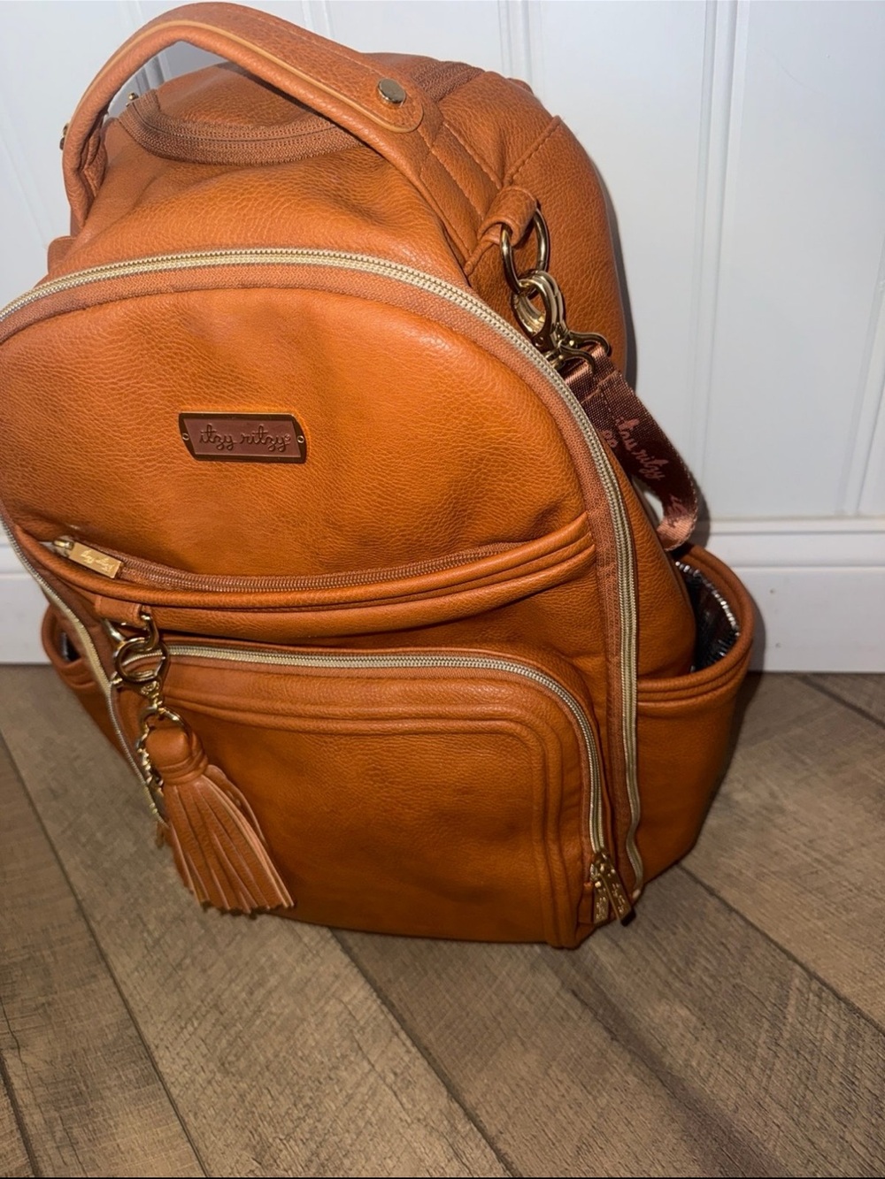 Itzy Ritzy Diaper Bag - Picture 5 of 12